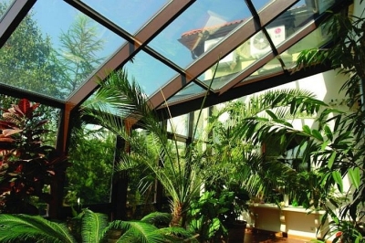 Солнечный свет в зимнем саду.