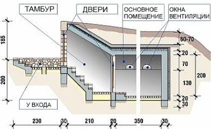 Продольная секция.